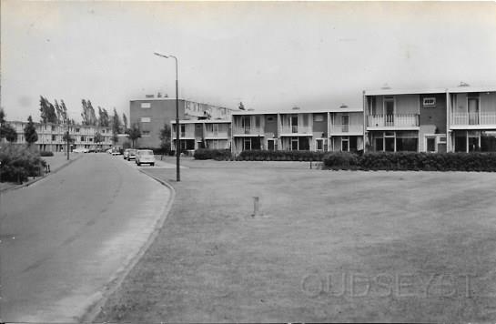 Zeist-West0006, Fazantenlaan. 1979.jpg - Links laagbouw Fazantenlaan 49 t/m 71 en op de achtergrond hoogbouw Fazantenlaan 26 t/m 58. In 1960 werden de eerste steenleggingen gedaan van beiden gebouwen. Opname van 1979.